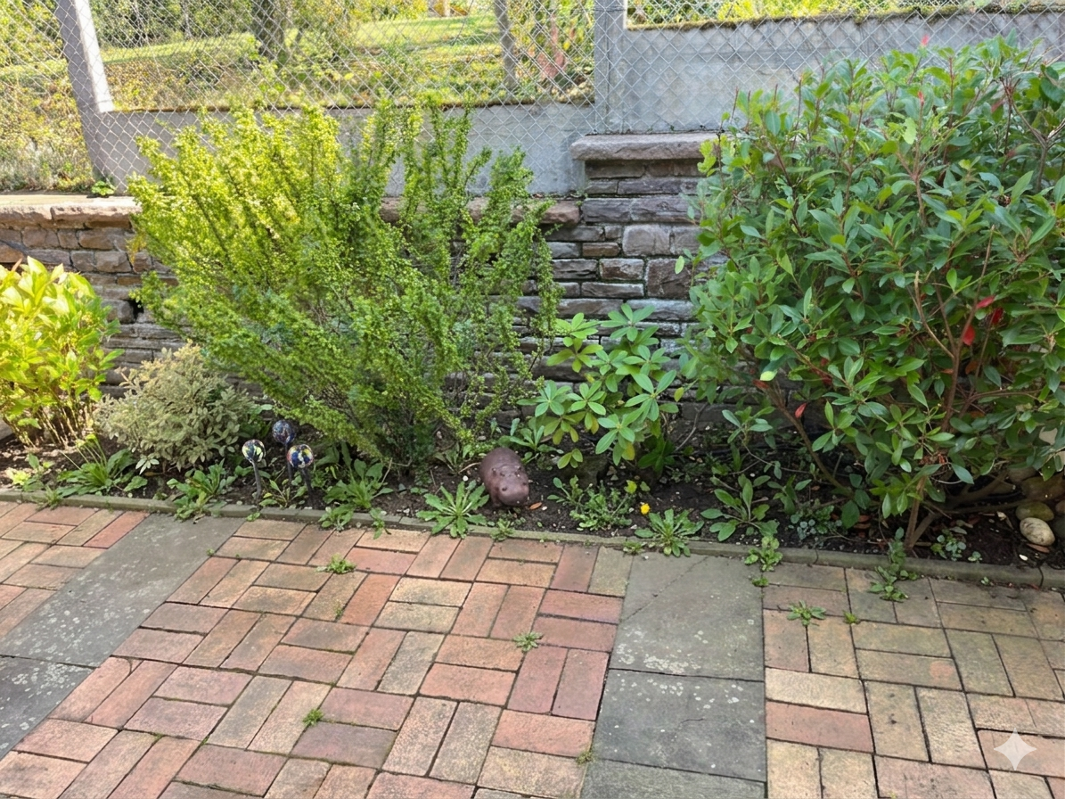 Vorher Garten