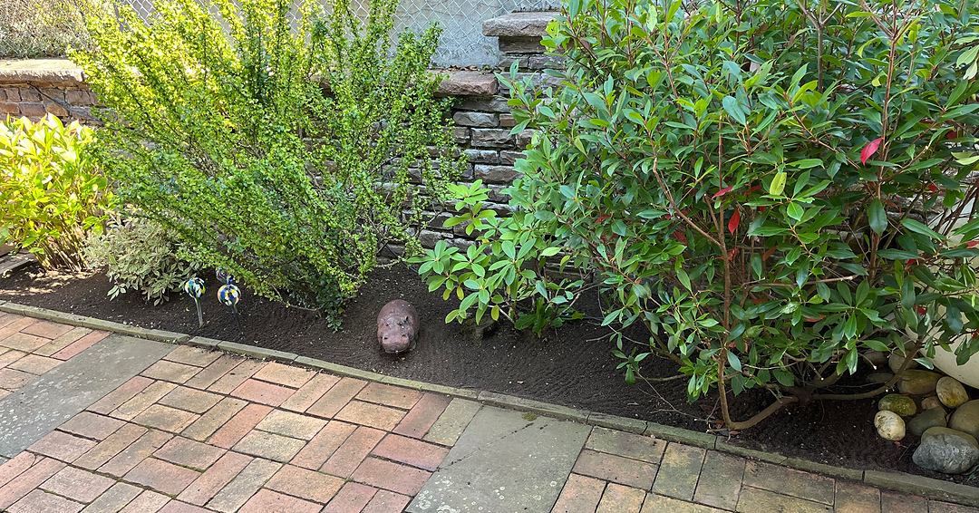 Nachher Garten